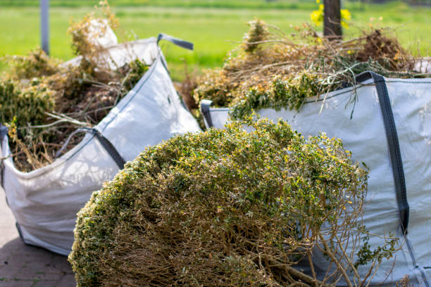 Best Basement Cleanout Services  in Bayview, CA